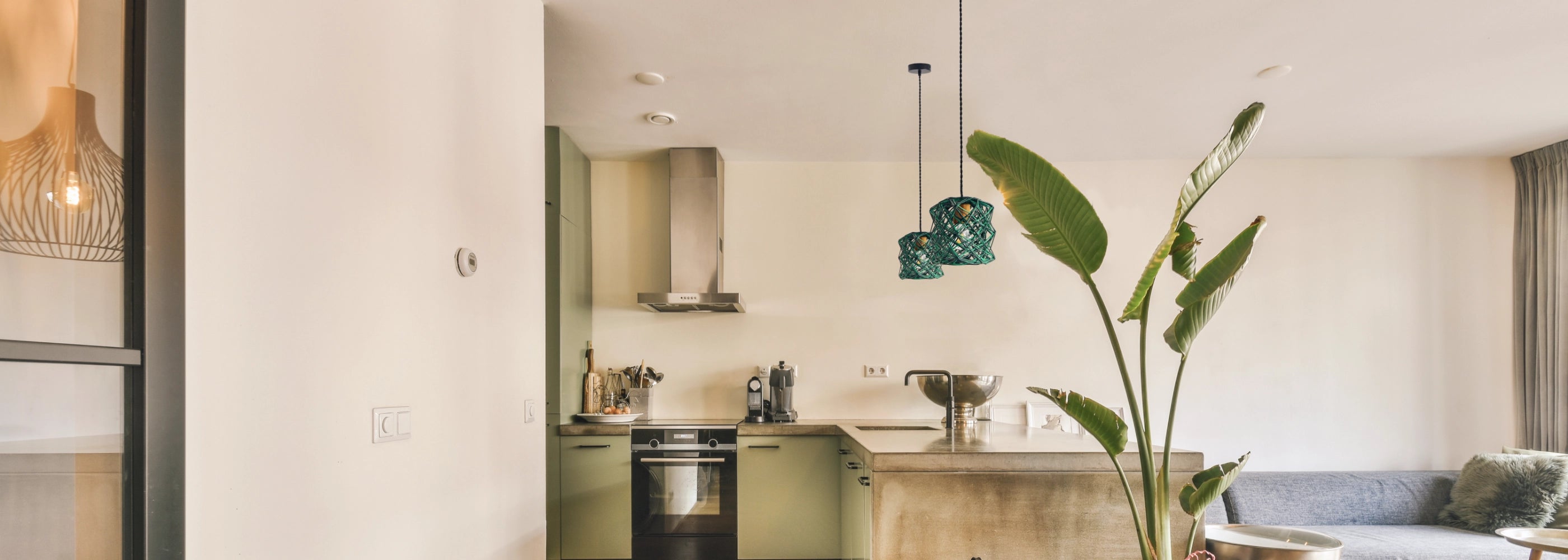 2 Erizos verdes sobre barra de cocina