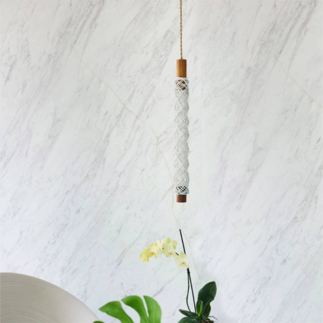 Anemona Blanca en Terraza