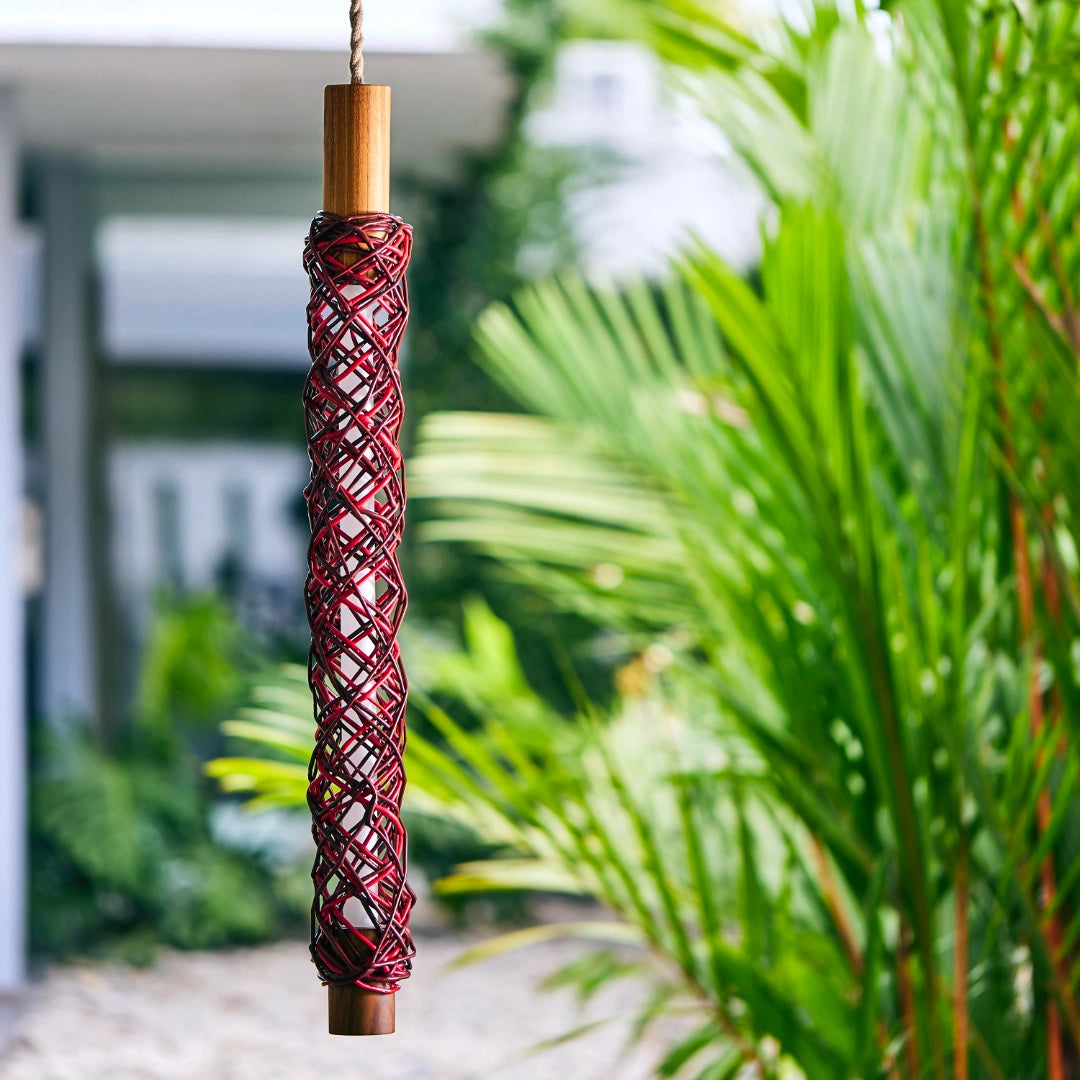 Anemona Rojo en jardin